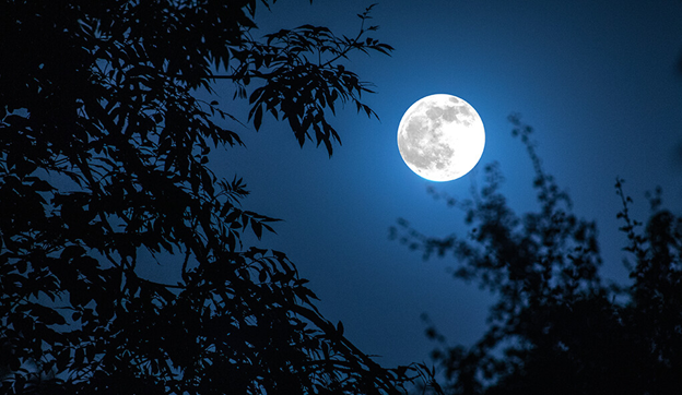 Full Moon