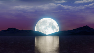 purnima3