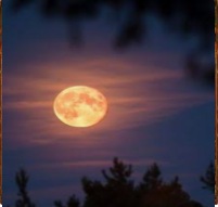 Moon 2